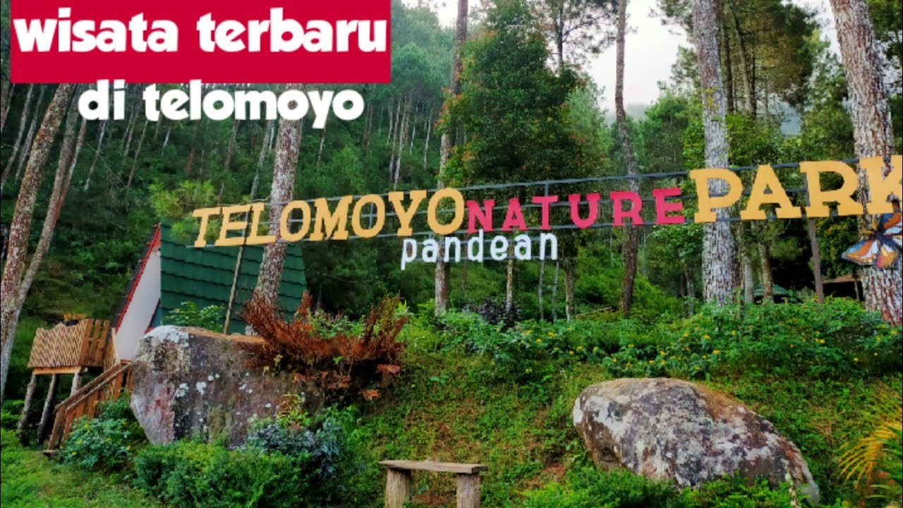 Jelajahi Keindahan Alam Telomoyo Nature Park